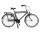 UMIT Retro 26" Citybike
